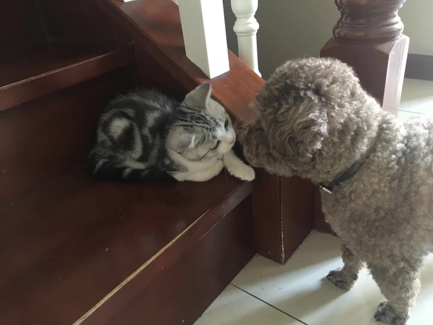 Winston - June 20, 2018