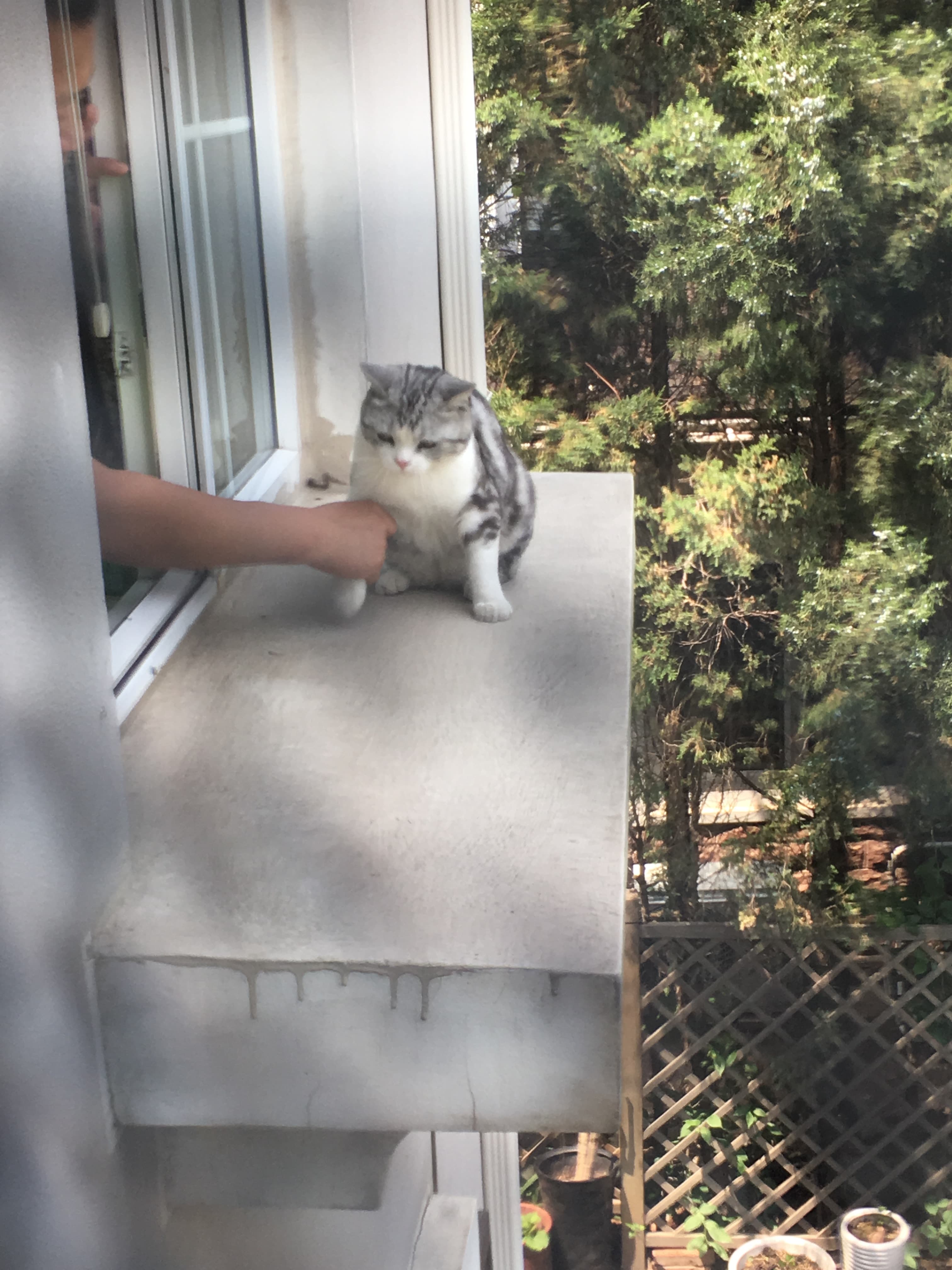 Winston - June 2, 2019