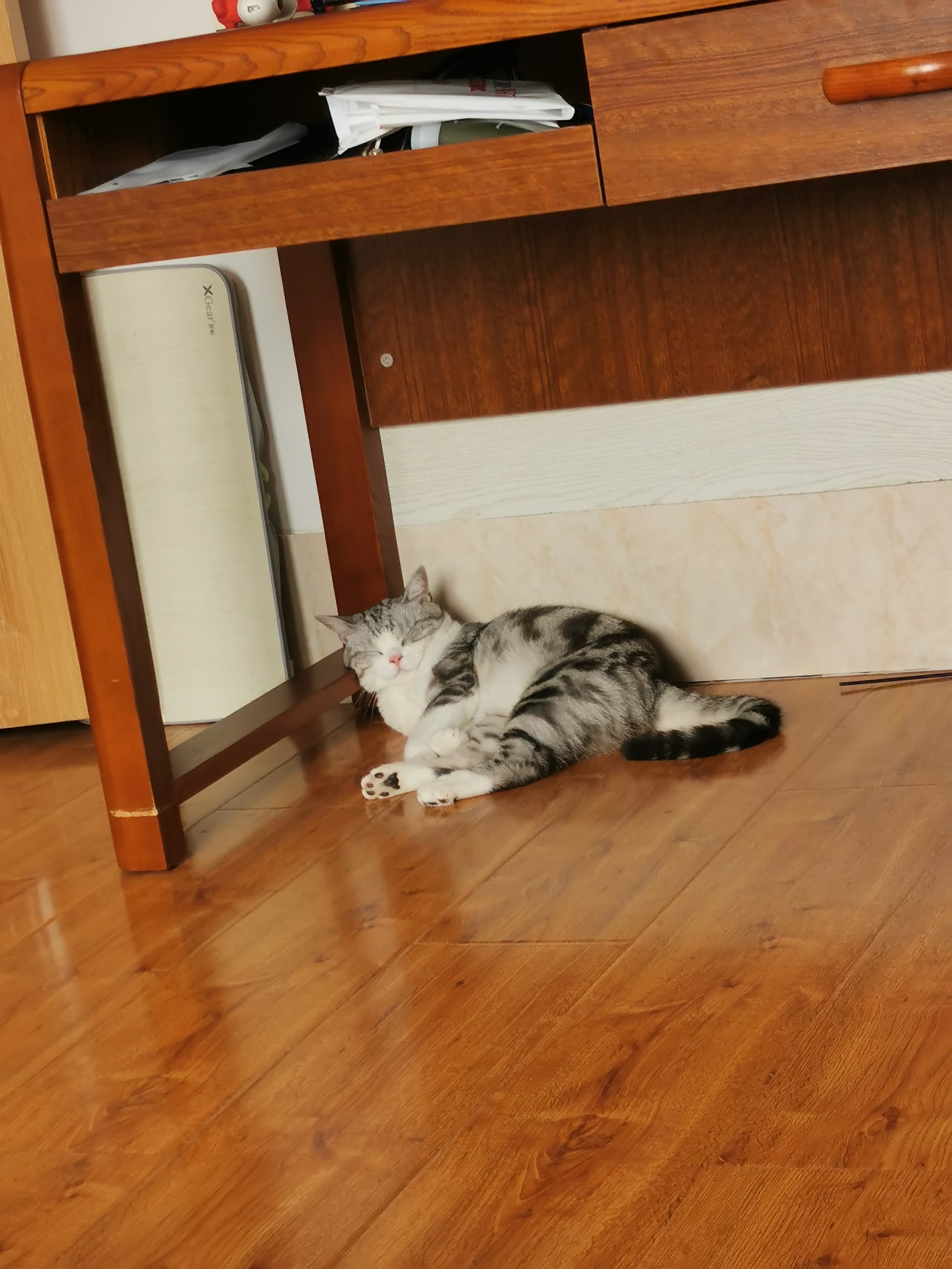 Winston - August 23, 2019