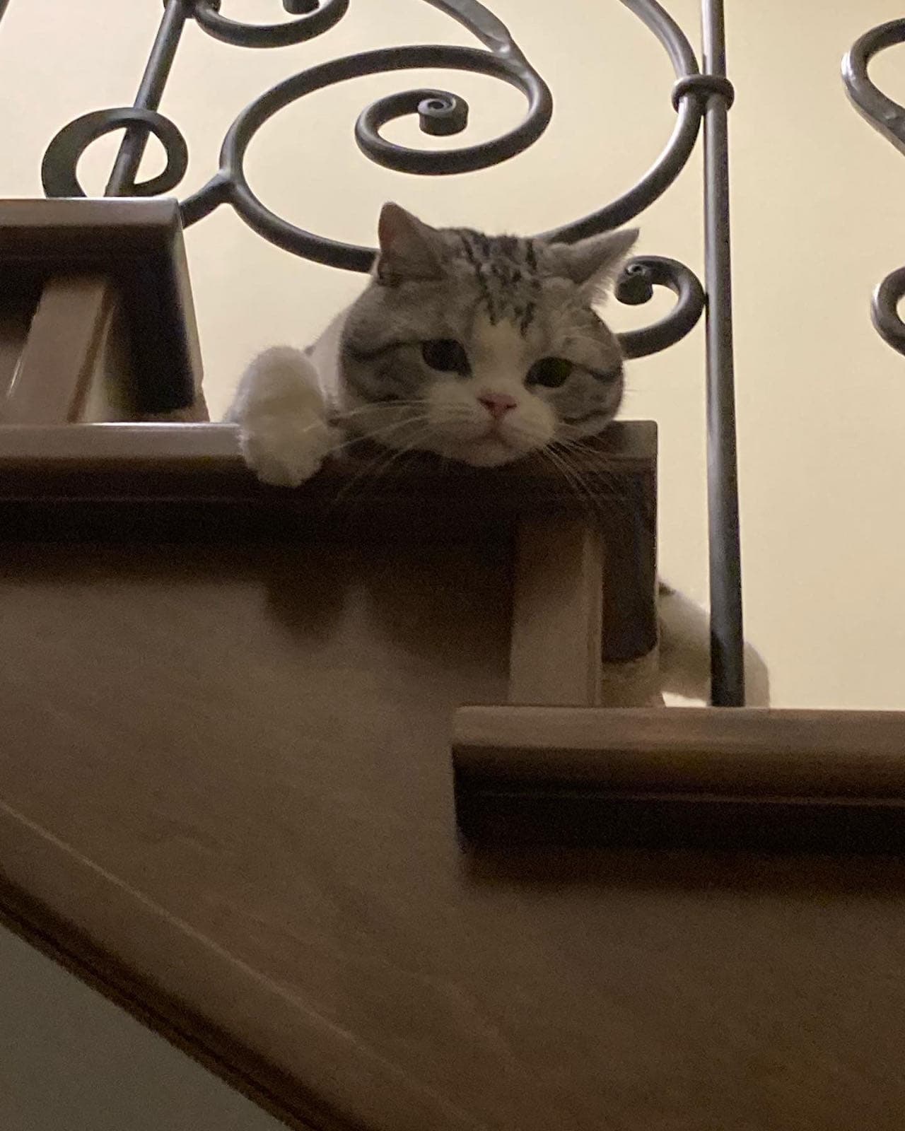 Winston - August 3, 2023