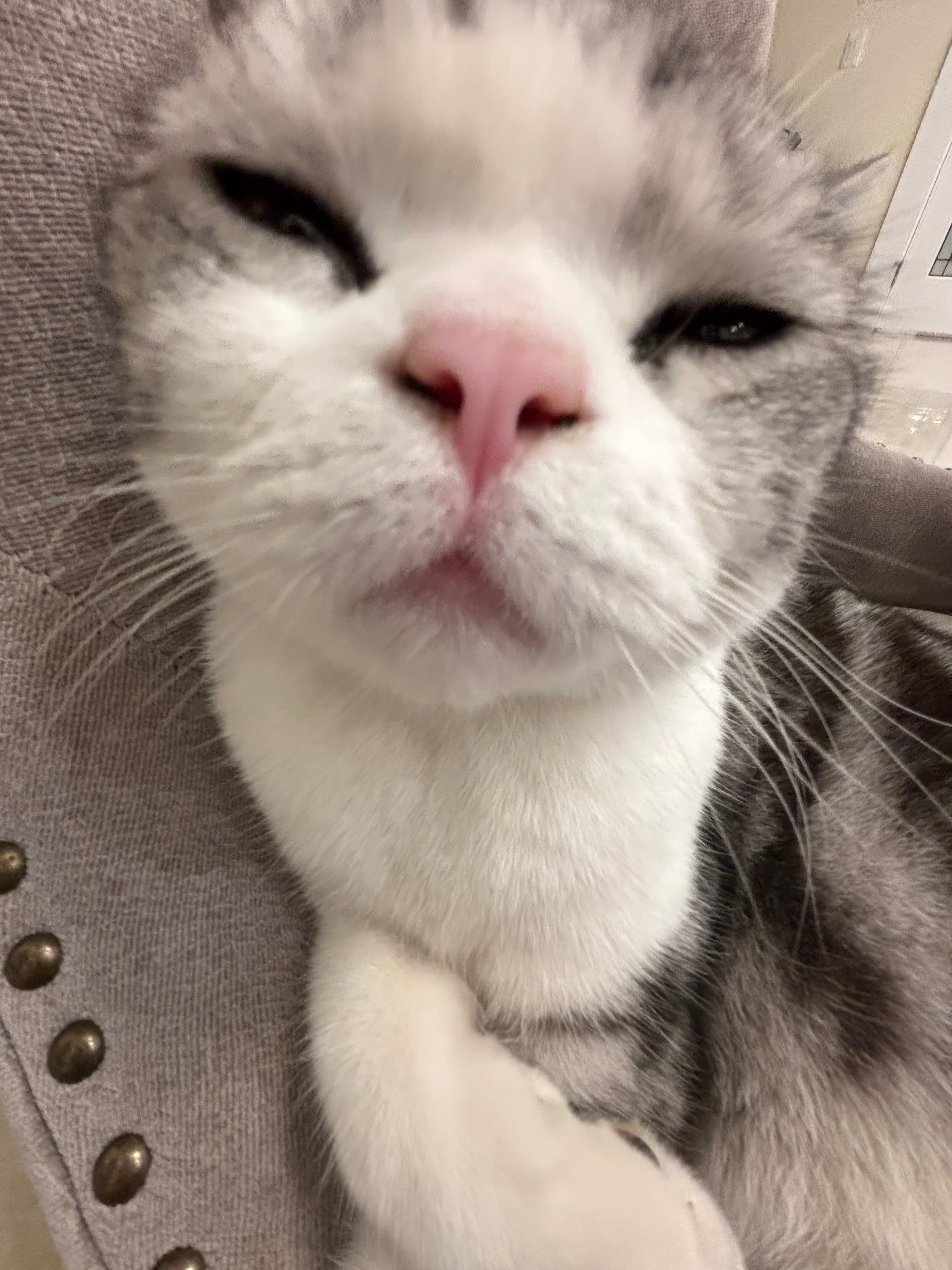 Winston - December 6, 2025